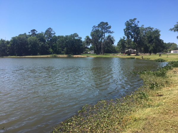 Lake Park – City of Lake Park, Georgia